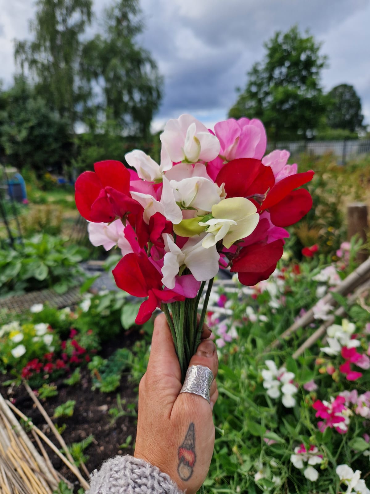 Bright flowers in the herb garden